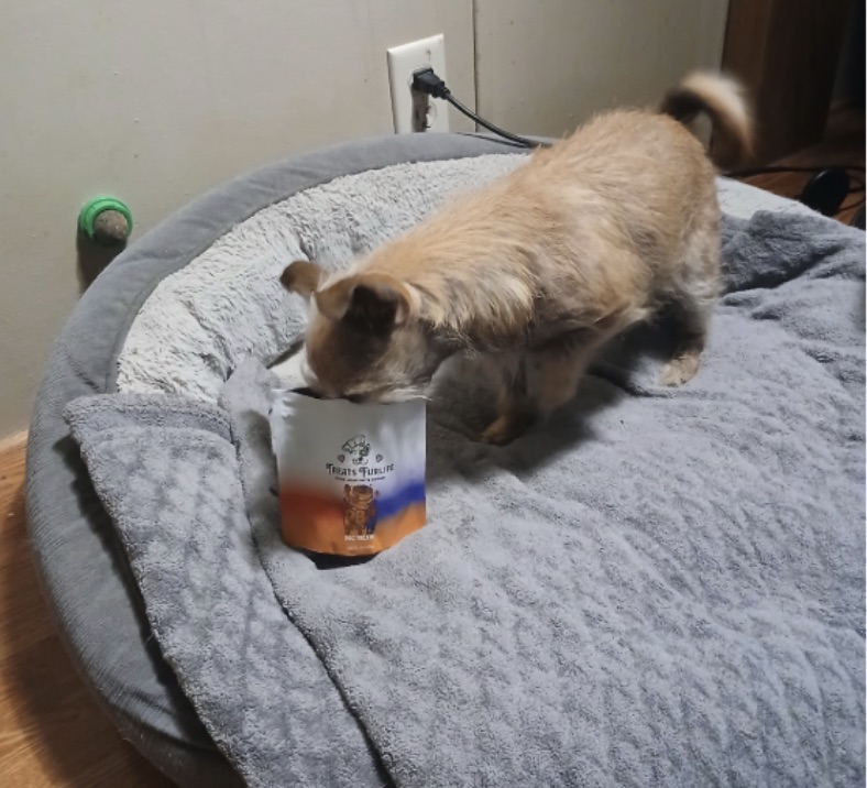 Russell review photo